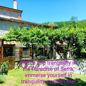 https://villa-the-house-in-the-paradise-of-serra.it-tuscanyhotel.com